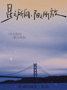 星之所向，阳之所放 cover