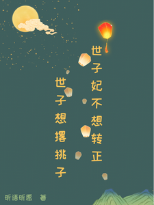 世子妃不想转正 cover