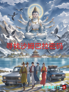 寻找沙姆巴拉密码 cover