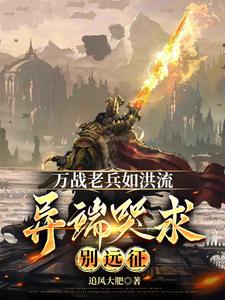 万战老兵如洪流,异端哭求别远征 cover