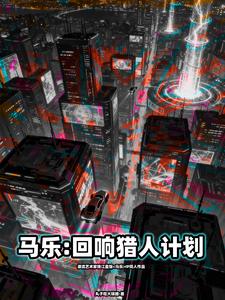 马乐宇宙之回响猎人计划 cover