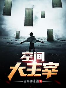 空间大主宰 cover