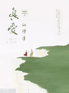 真爱的样子 cover