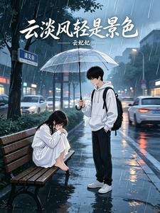云淡风轻是景色 cover