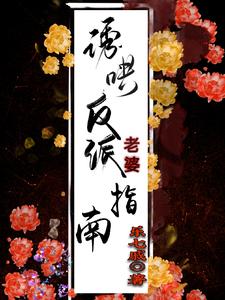 诱哄反派老婆指南 cover