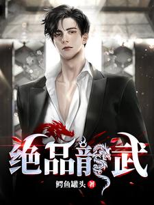 绝品龙武 cover
