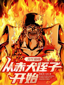 海军巅峰,从赤犬侄子开始 cover