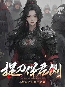 提刀伴君侧 cover