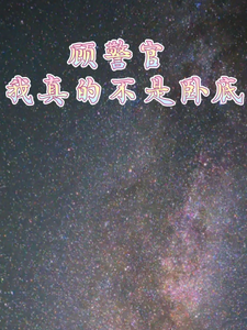 顾警官我真的不是卧底 cover