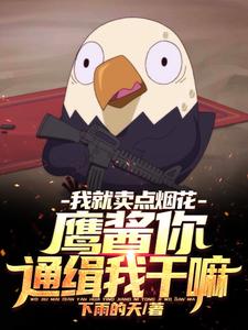 我就卖点烟花,鹰酱你通缉我干嘛 cover
