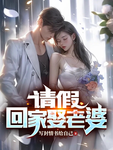 Take Leave: Go Home and Marry Your Wife cover