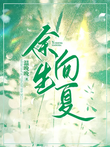 余生向夏 cover