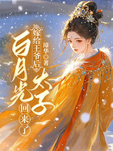 嫁给王爷后，白月光太子回来了 cover