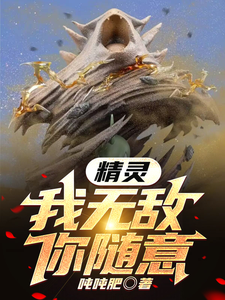 精灵:我无敌你随意 cover