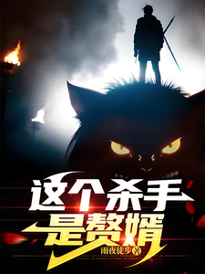 这个杀手是赘婿 cover