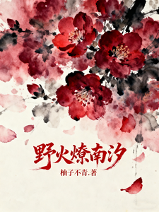 野火燎南汐 cover