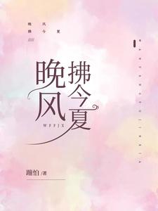 晚风拂今夏 cover