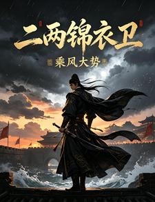 二两锦衣卫，乘风大势 cover