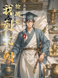 我到宋朝捡破烂 cover