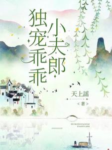 独宠乖乖小夫郎 cover