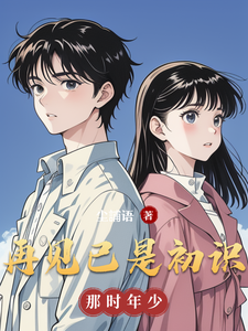 再见已是初识 cover