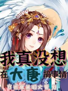 I Really Didn’t Mean to Start Trouble in the Tang cover