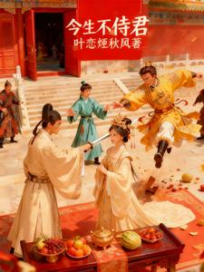 今生不侍君 cover
