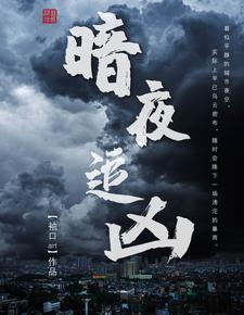 暗夜追凶 cover