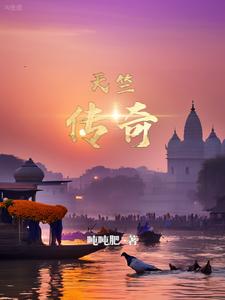天竺传奇 cover