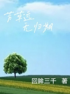 芳草远无归期 cover