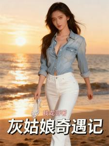 灰姑娘奇遇记 cover