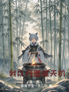 我以丹道破天机 cover