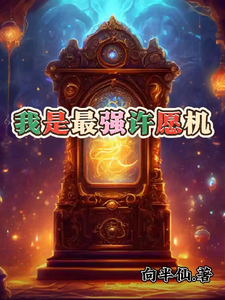 我是最强许愿机 cover