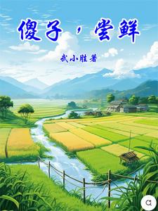 傻子,尝鲜 cover