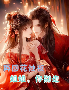再回花烛夜：姐姐，你别走！ cover