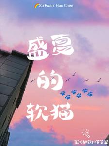盛夏的软猫 cover