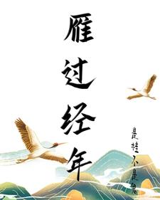 雁过经年 cover