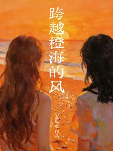 跨越橙海的风 cover