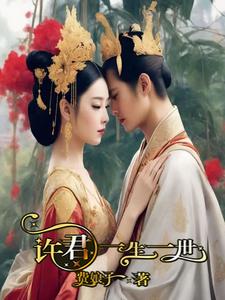 许君一生一世 cover