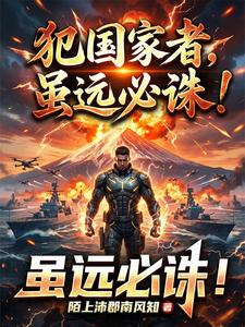 犯国家者，虽远必诛！ cover
