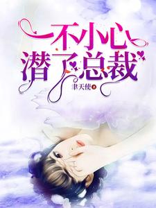 一不小心潜了总裁 cover