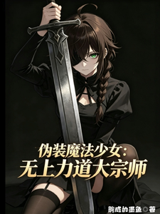 伪装魔法少女:无上力道大宗师 cover