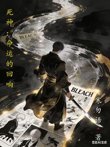 死神：命运的回响 cover