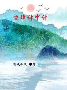 边境计中计 cover