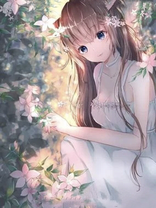 张先生，请多多指教 cover
