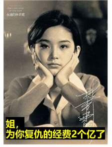 姐，为你复仇的经费2个亿了 cover