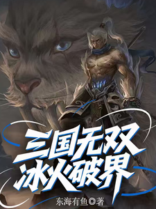 三国无双，冰火破界 cover