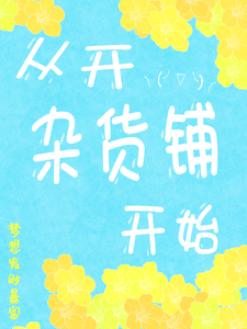 从开杂货铺开始 cover