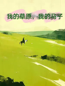 我的草原我的马子 cover