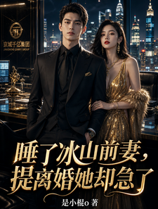 睡了冰山前妻，提离婚她却急了 cover